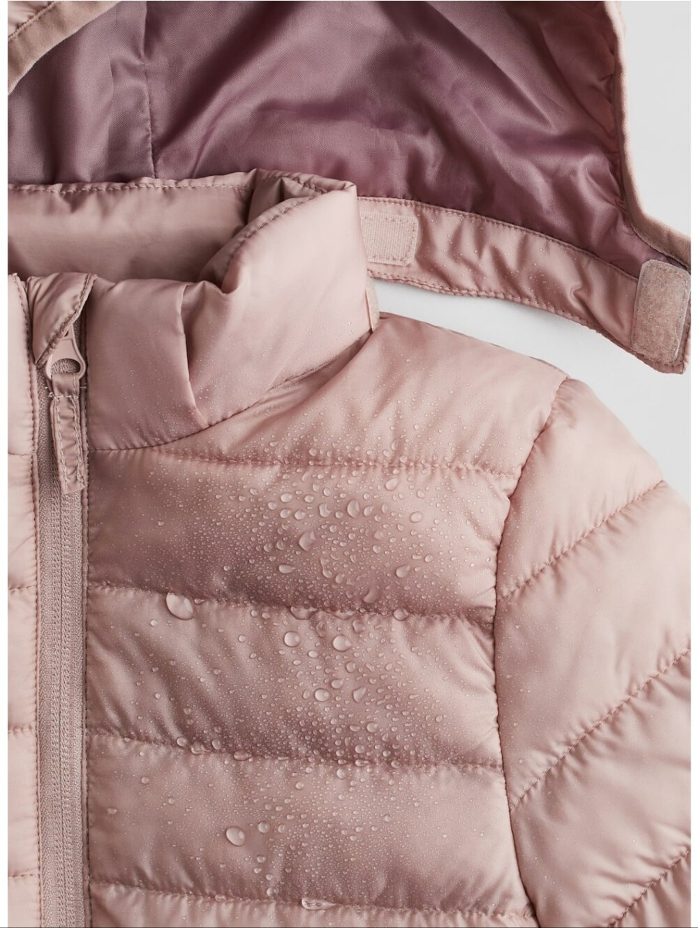 Jacket - Picture 3 of 8